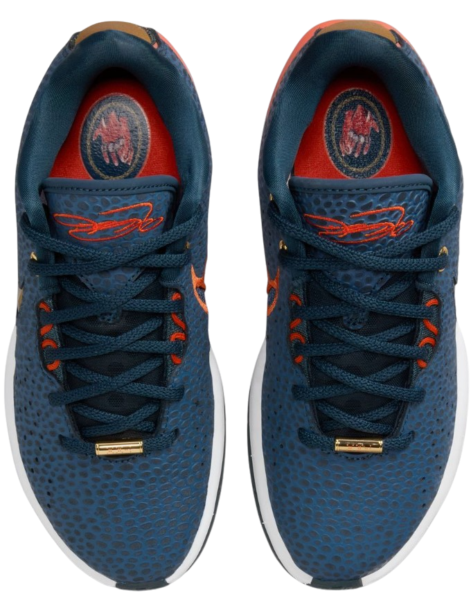LeBron XXI SE