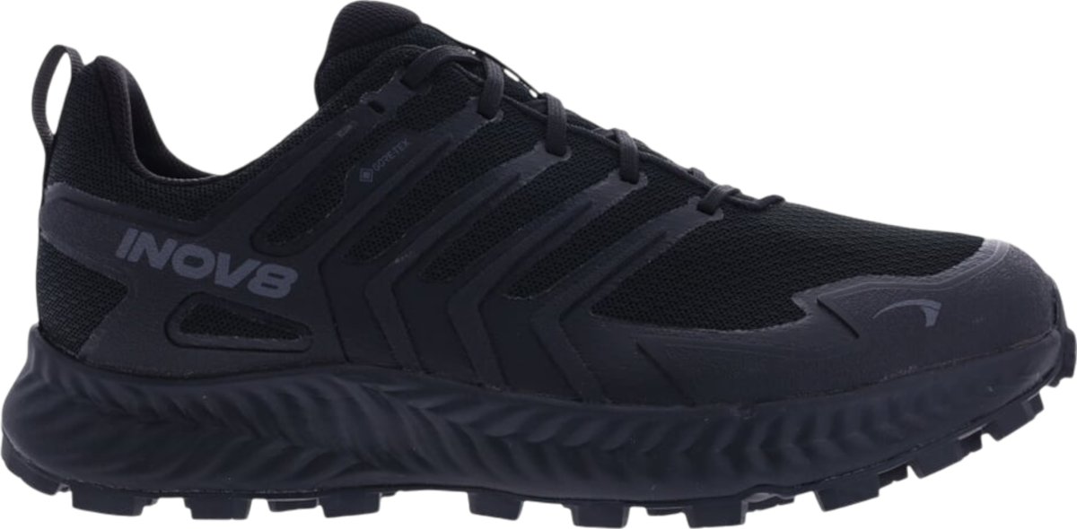 Tenisky a topánky inov-8 INOV-8 Roclite Gtx Čierna | 001287-bkdg-w-001, 0