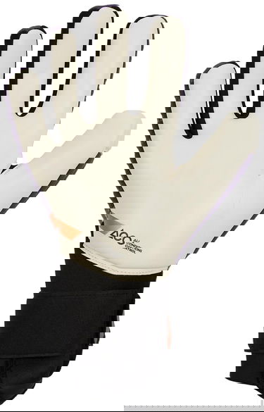 Športový doplnok Nike Nike Phantom Elite Goalkeeper Gloves Fialová | dv3108-524, 1