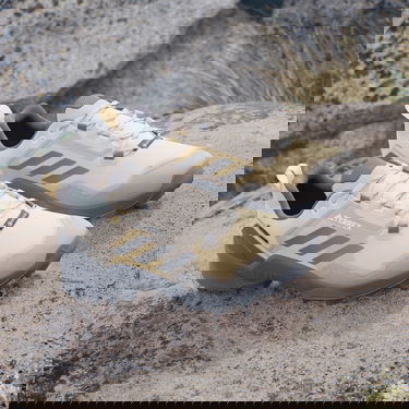 Tenisky a topánky adidas Performance adidas TERREX BOTY TERREX SWIFT R3 GORE-TEX Béžová | IE5064, 4
