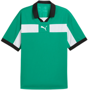Puma teamCLASSIC Match Jersey