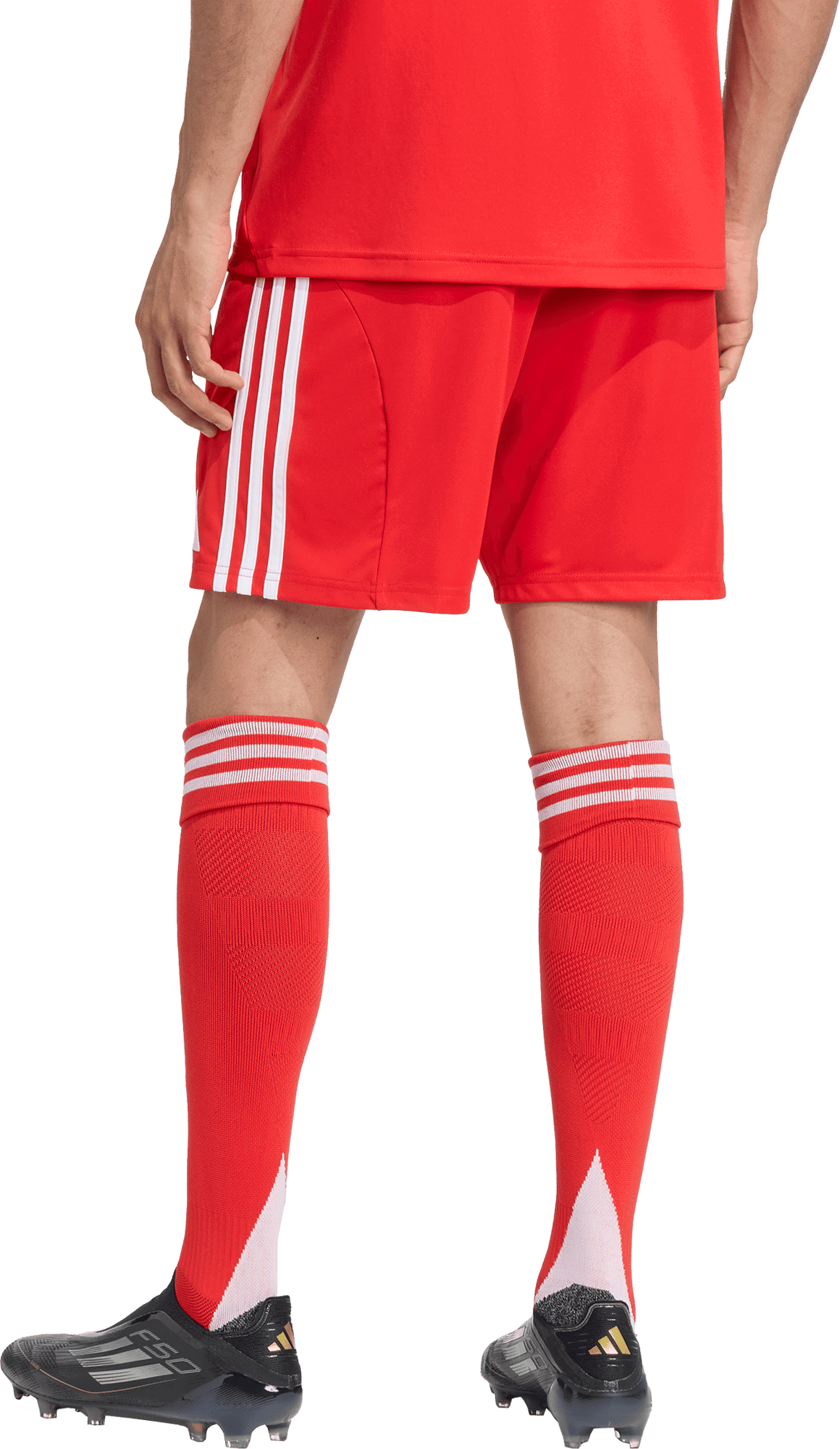 Šortky adidas Performance FC Bayern Munich 25/26 Home Shorts Červená | JJ2133, 1