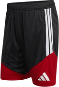 Germany Tiro 26 Training Shorts
