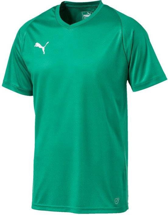 Dres Puma Liga Core Jersey Zelené | 703509-05, 0