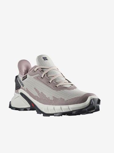 Tenisky a topánky Salomon Alphacross 4 GTX Šedá | L41723200, 3