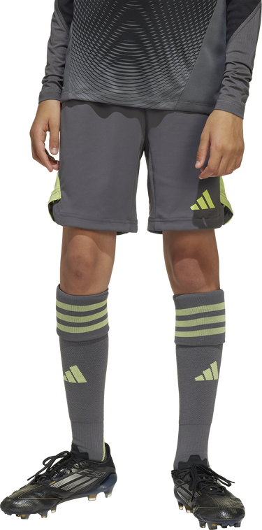 Šortky adidas Originals Tiro 25 Pro Goalkeeper Shorts Šedá | jn2025, 3