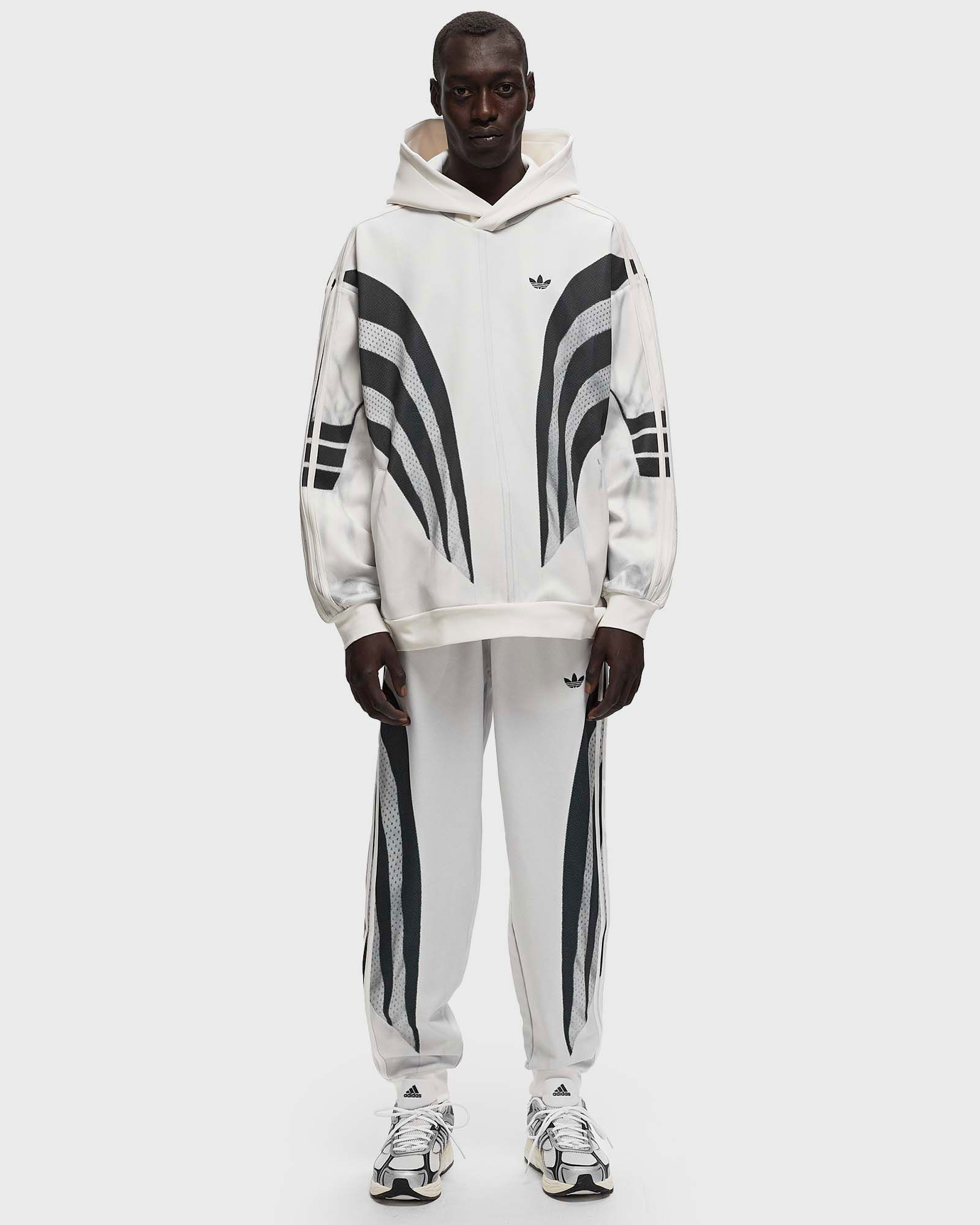 Adidas PRM Q3 PRINT HOODIE