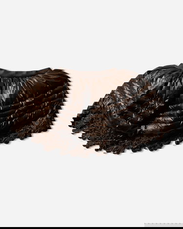 Sukňa The North Face Cecilie Bahnsen Elena Puffy Down Skirt with Embroidered Hem Hnedá | NF0A8FFD2451 NF245, 2