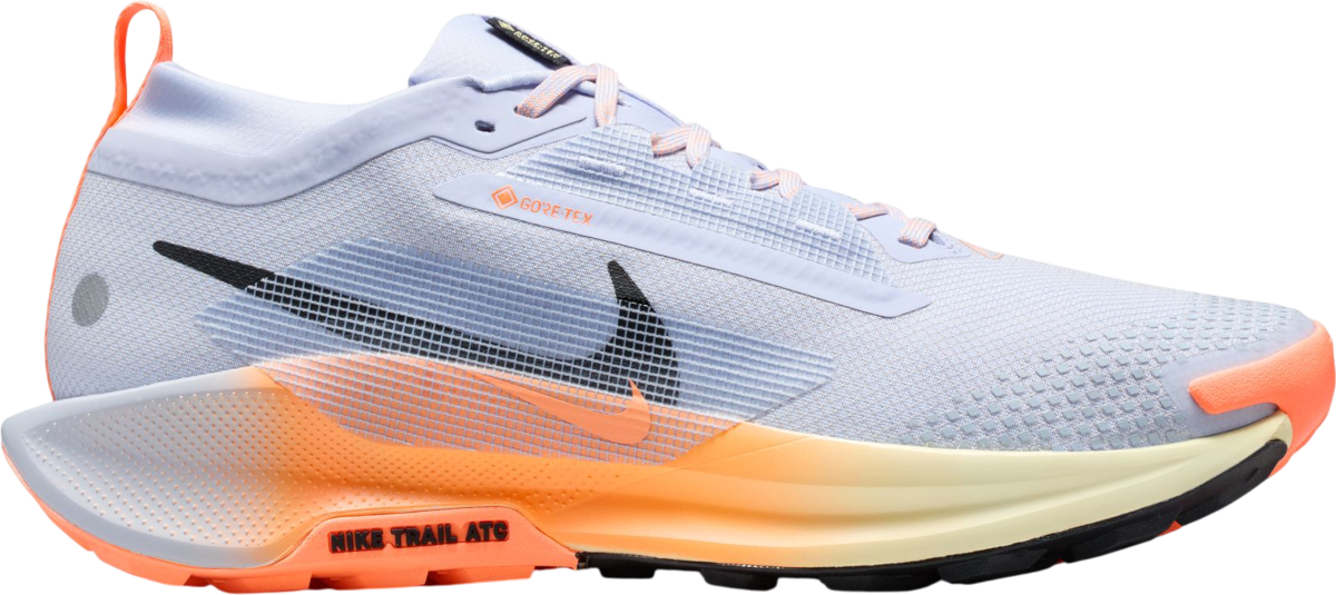 Tenisky a topánky Nike Pegasus Trail 5 GORE-TEX Rôznofarebný | fq0908-011, 0