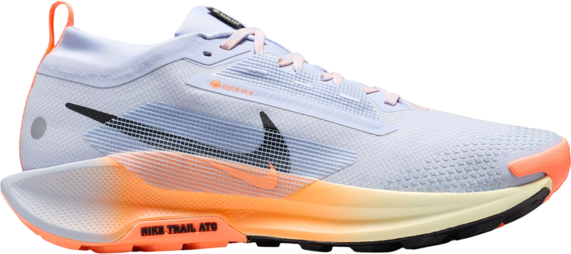 Tenisky a topánky Nike Pegasus Trail 5 GORE-TEX Rôznofarebný | fq0908-011