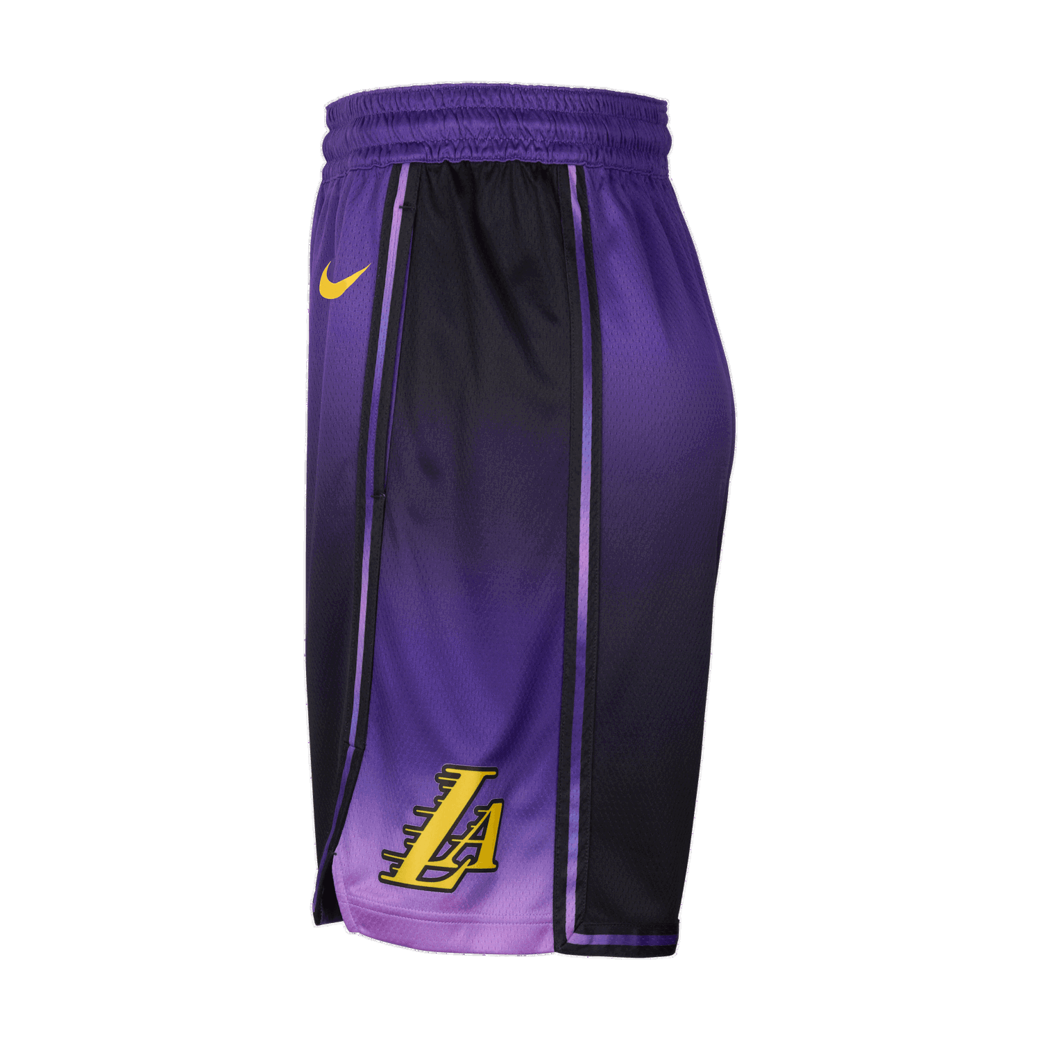 Šortky Nike Basketball Swingman Shorts Fialová | FQ4410, 1