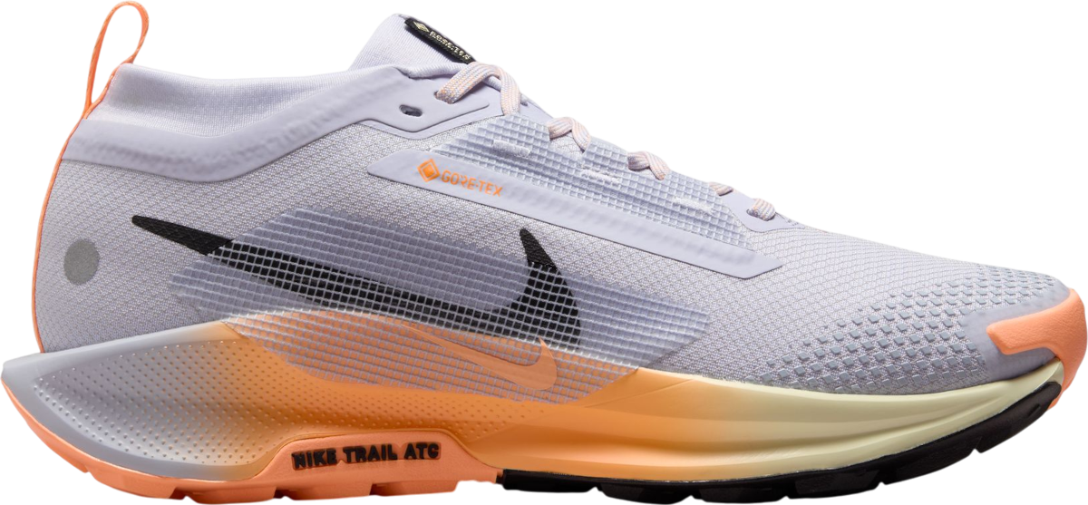 Tenisky a topánky Nike Pegasus Trail 5 GORE-TEX Rôznofarebný | fq0912-011, 0