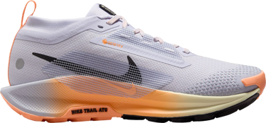 Tenisky a topánky Nike Pegasus Trail 5 GORE-TEX Rôznofarebný | fq0912-011, 0