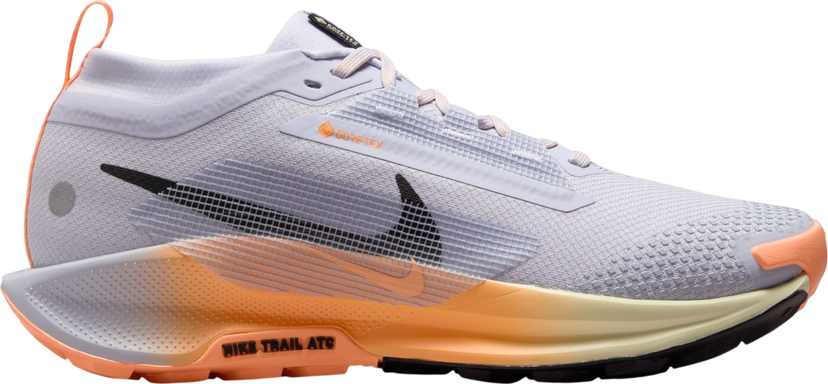 Tenisky a topánky Nike Pegasus Trail 5 GORE-TEX Rôznofarebný | fq0912-011