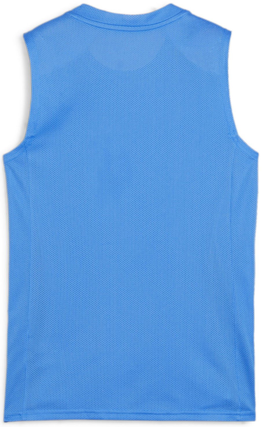 Tielko Puma teamGOAL Sleeveless Jersey Wmns Modrá | 706050-02, 1