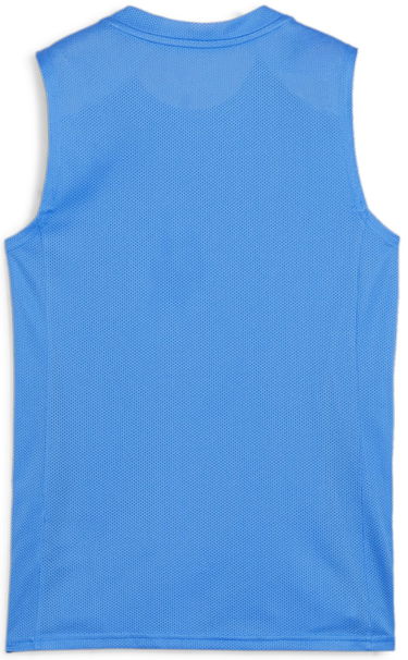 Tielko Puma teamGOAL Sleeveless Jersey Wmns Modrá | 706050-02, 1