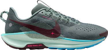 Tenisky a topánky Nike Pegasus Trail 5 Rôznofarebný | dv3864-302, 0