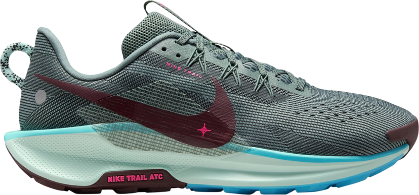 Tenisky a topánky Nike Pegasus Trail 5 Rôznofarebný | dv3864-302