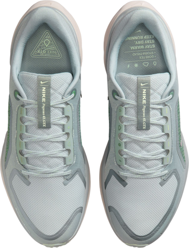 Tenisky a topánky Nike Pegasus 41 GORE-TEX Rôznofarebný | fq1356-007, 2