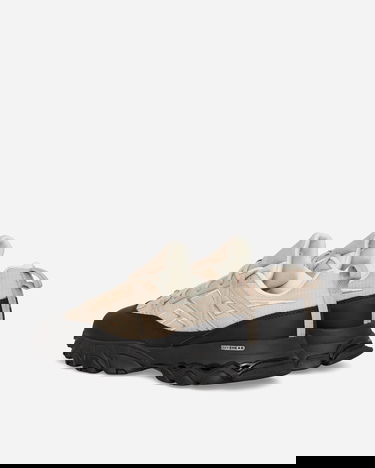 Tenisky a topánky Reebok DMX Trail Shadow "Modern Beige" Šedá | GY1923, 4