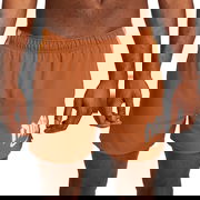 Dri-FIT Run Division Challenger Shorts