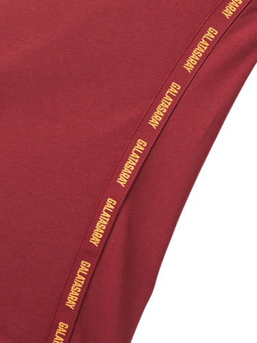 Tričko Puma Galatasaray Istanbul Logo T-Shirt Vínová | e251047-100, 3