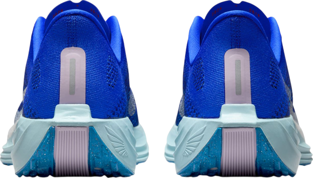 Tenisky a topánky Nike Pegasus Plus Premium Modrá | hq1719-400, 1