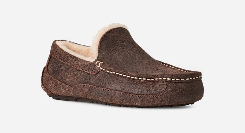 Tenisky a topánky UGG UGG Ascot Distressed Slippers Hnedá | 1171296-DDC, 1