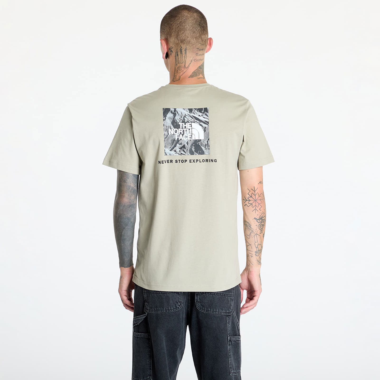 S/S Redbox Tee Graphic Infill 2 Clay Grey/Tnf Black 3D