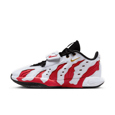 Tenisky a topánky Nike LeBron XXI "Prime 96" Rôznofarebný | HV1221-100, 1