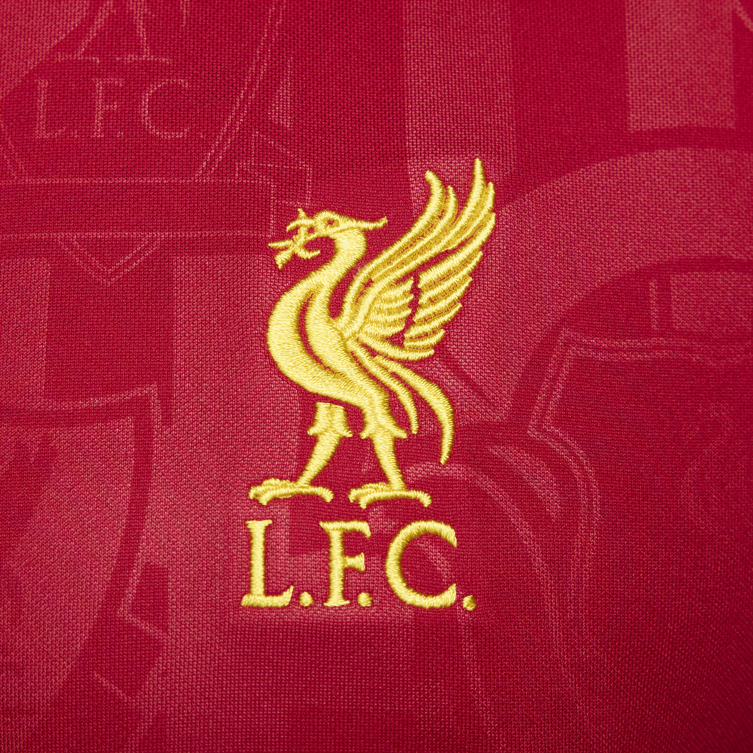 Tričko Nike Dri-FIT Liverpool FC Academy Pro Červená | FN9653-688, 1