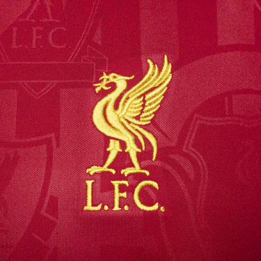 Tričko Nike Dri-FIT Liverpool FC Academy Pro Červená | FN9653-688, 1