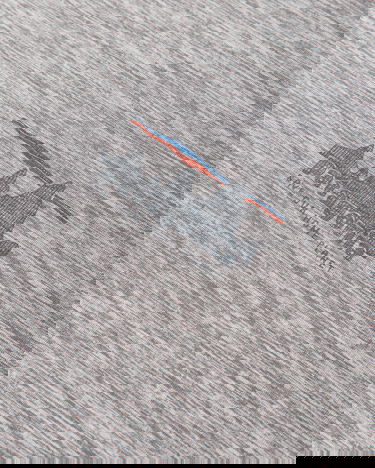 Tričko Patagonia Capilene Cool Daily Graphic T-Shirt Šedá | 45235 SKFE, 4