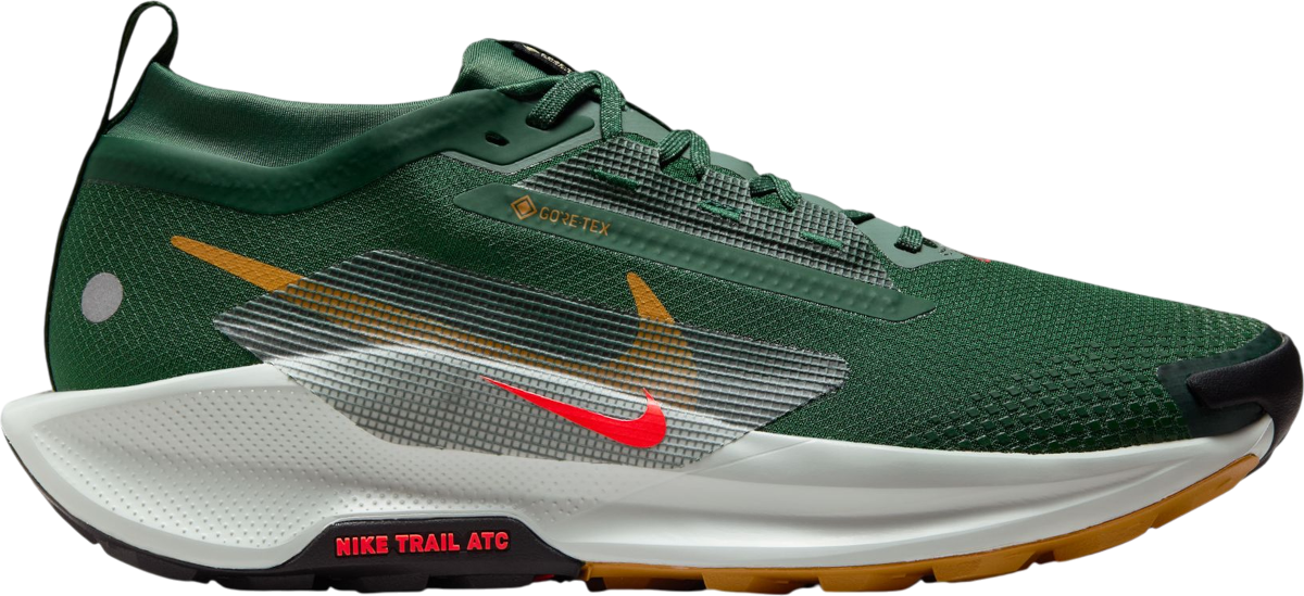 Tenisky a topánky Nike Pegasus Trail 5 GORE-TEX Zelené | fq0908-301, 0