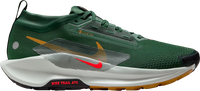 Pegasus Trail 5 GORE-TEX