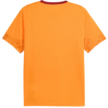 Dres Puma Galatasaray Istanbul Training Jersey Oranžová | 949105-006, 1