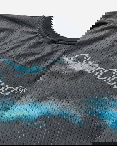 Tričko On Running Pace CleanCloud Mesh T-Shirt with Horizon Graphic Rôznofarebný | 1MF10033398 002, 3
