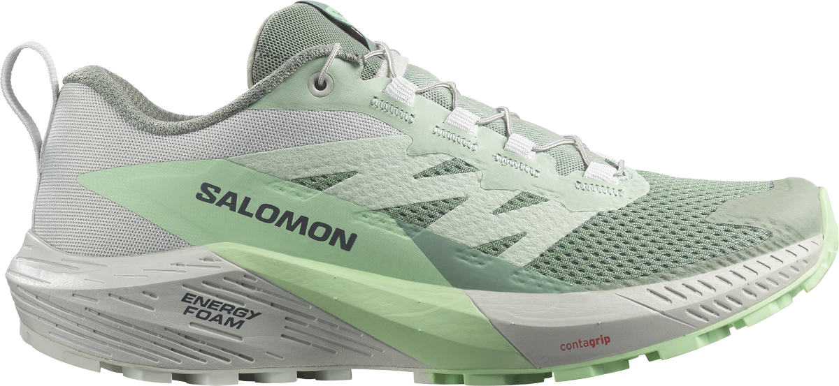 Tenisky a topánky Salomon SENSE RIDE 5 W Šedá | l47314100, 0