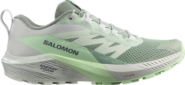 Tenisky a topánky Salomon SENSE RIDE 5 W Šedá | l47314100, 0