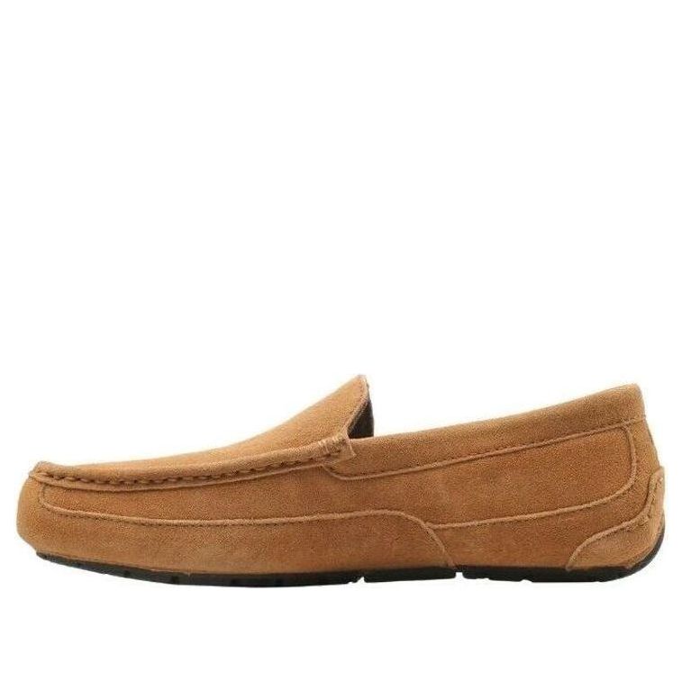 Tenisky a topánky UGG Alder Hnedá | 1003419-CHE