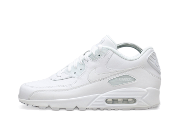 Nike Air Max 90 Leather 302519-113