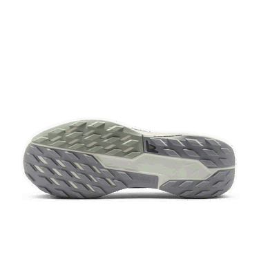Tenisky a topánky Nike Pegasus Trail 5 GORE-TEX Šedá | FQ0908-006, 1