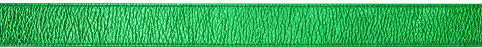 Opasok BY FAR BY FAR Katina Leather Belt Zelené | 21FWKTNCNMEG, 1
