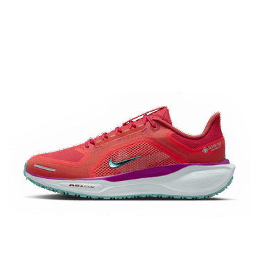 Tenisky a topánky Nike Pegasus 41 GORE-TEX Červená | HM8870-600, 0