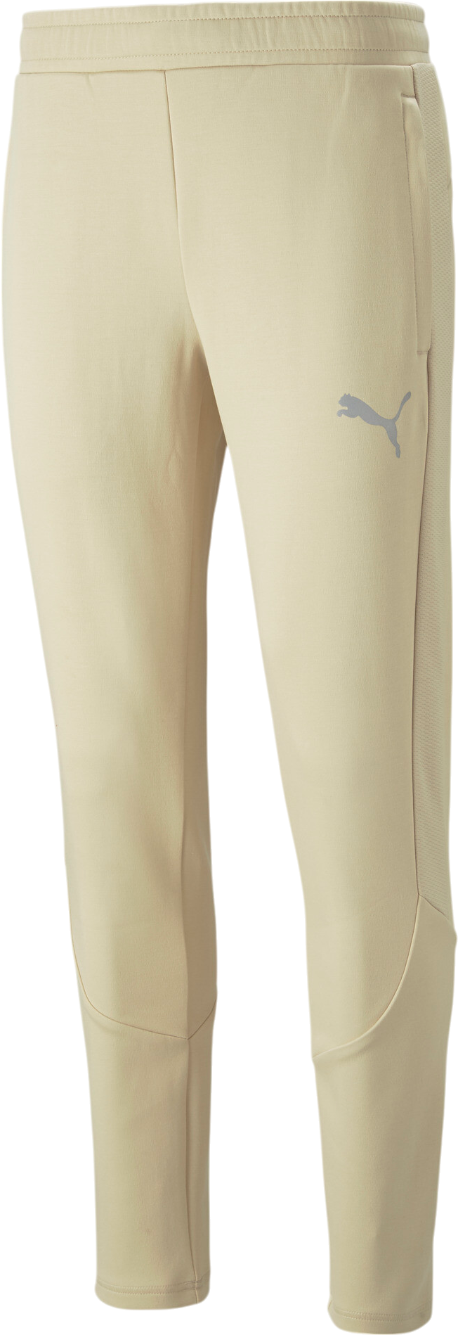 Tepláky Puma Puma EVOSTRIPE Pants Béžová | 673315-088, 0