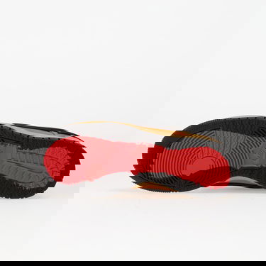 Tenisky a topánky Nike Dunk Low Gtx Hnedá | HQ2053-700, 1