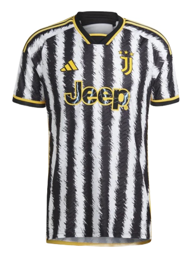 Dres adidas Originals Juventus Home Jersey 2023/24 Authentic Rôznofarebný | hr8248
