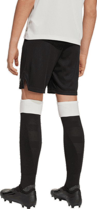 Šortky adidas Originals adidas Originals DFB Deutschland 125th Anniversary Shorts Kids Čierna | jy0253, 1