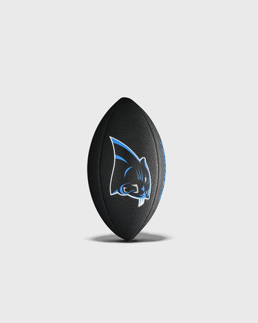 Športový doplnok Wilson Tennis Carolina Panthers NFL Mini Soft Touch Football Čierna | WTF1533BLXBCA, 1
