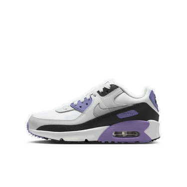 Tenisky a topánky Nike Air Max 90 LTR Fialová | CD6864-129, 0